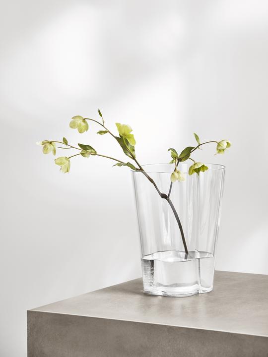 Produktbild Iittala Aalto Collection Vase (1 x)