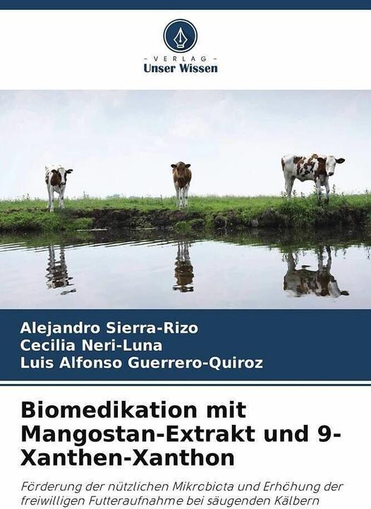Immagine prodotto Biomedicazione con estratto di mangostano e 9-xantene xantone (Tedesco, Cecilia Neri-Luna, Alejandro Sierra-Rizo, Luis Alfonso Guerrero-Quiroz, 2022)