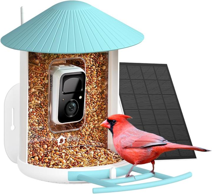 Birdfy Bird feeder with solar panel