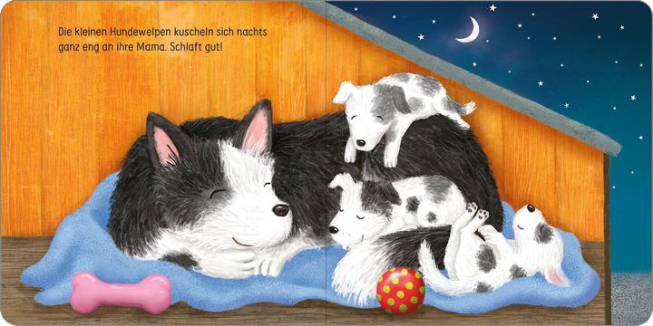 Produktbild Hab dich lieb, kleines Küken! (Deutsch)