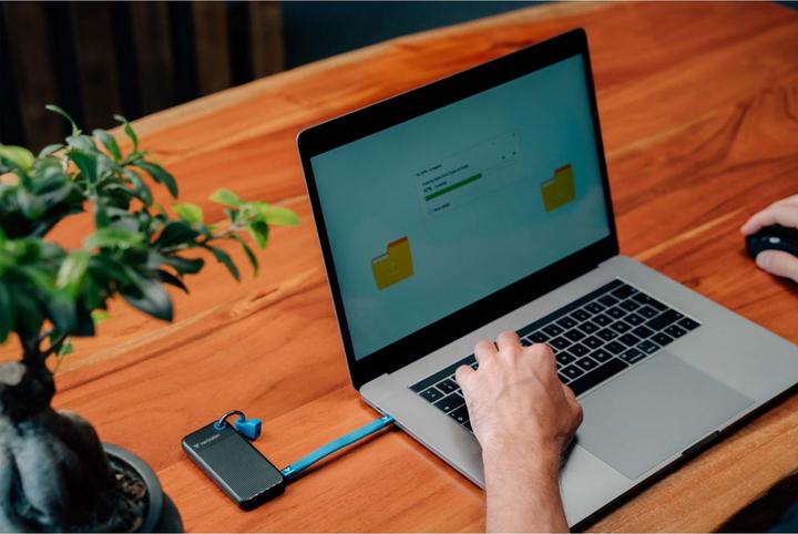 Image du produit Verbatim Pocket SSD (1000 Go)