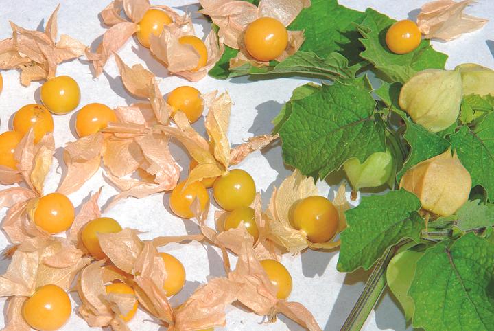 Produktbild Zollinger Bio Physalis, Ananaskirsche