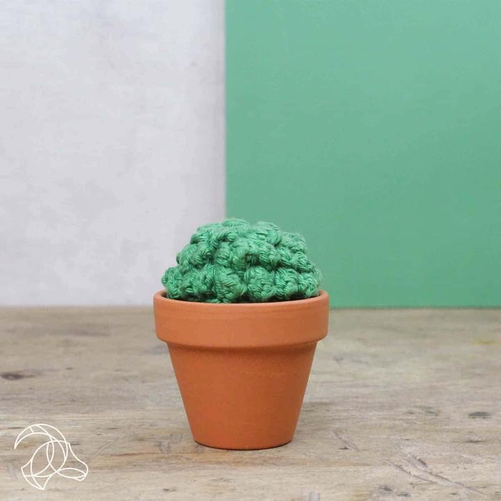 Image du produit Hardicraft Cactus - Kit de crochet