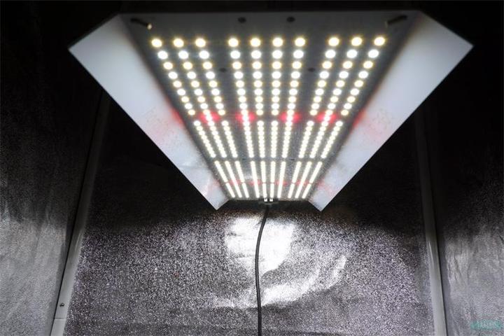 Actual product image HortiOne LED lamp 420 (LED)