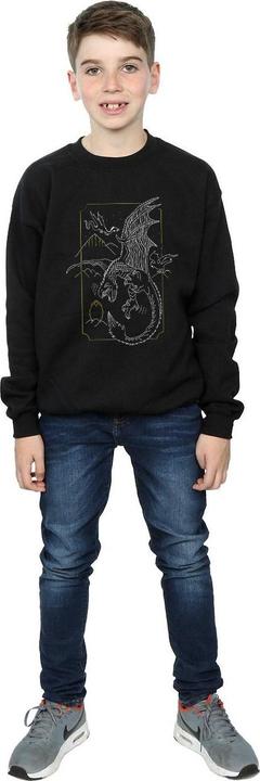 Image du produit - Sweat DRAGON LINE ART - Garçon (140, 146)