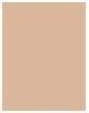 Produktbild L'Oréal Paris Infaillible 24H Fresh Wear (140 Golden Beige)
