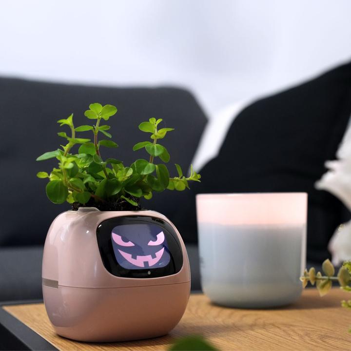 Image du produit Hermex Pot de fleurs intelligent (11 cm)