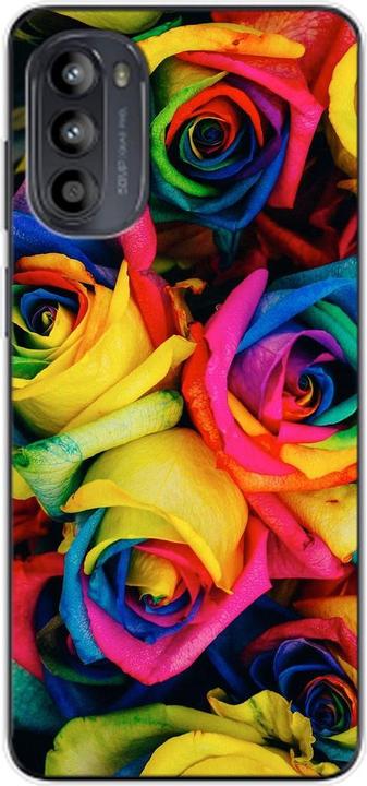 Colourful roses
