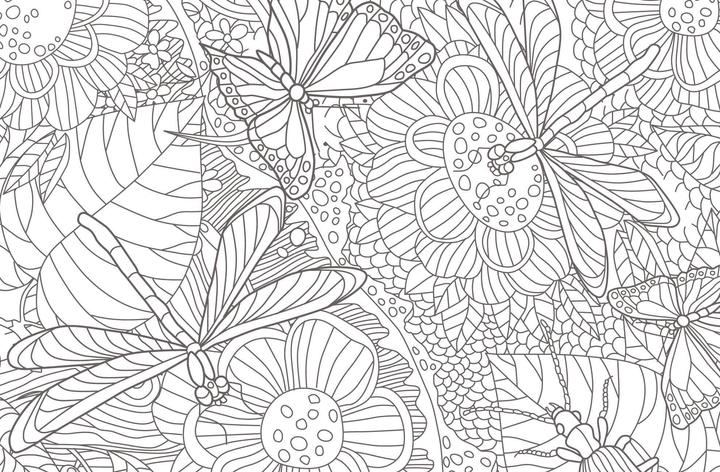 Image du produit Mandala