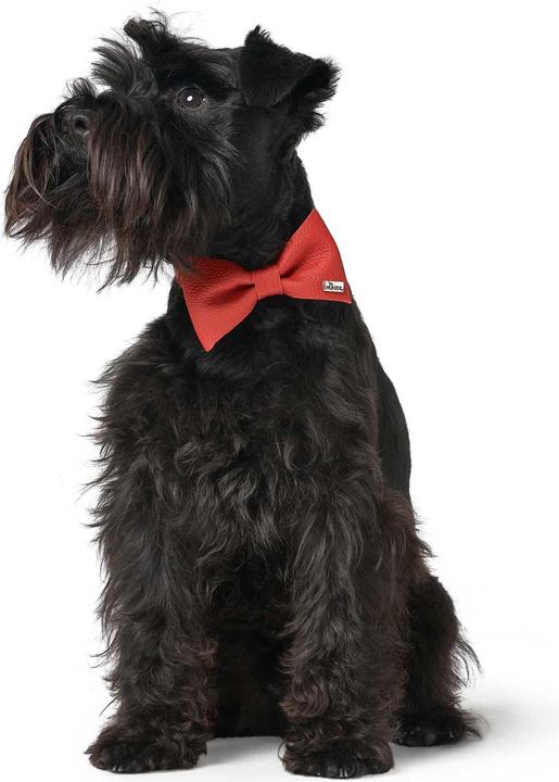 Immagine prodotto Hunter Accessori per colletto papillon Parigi, rosso (Cane, Generale)