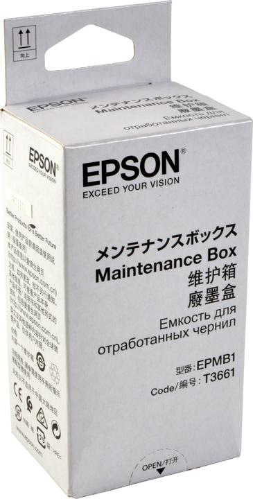 Actual product image Epson C13t366100 (FC)