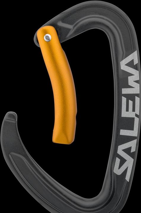 Immagine prodotto Salewa Ortles Bent Carabiner