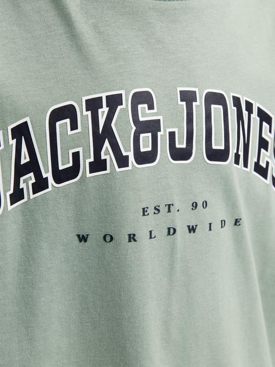 Actual product image Jack & Jones Jjecaleb Varsity Tee Ss O-Neck Sn Mni (98)