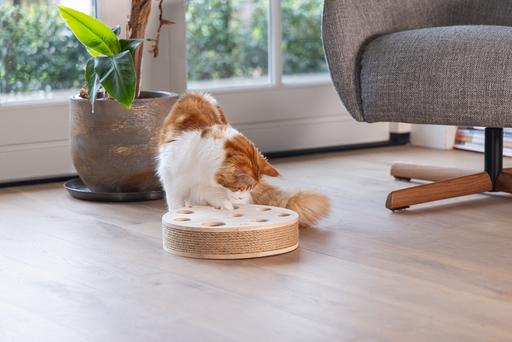 Actual product image Designed by Lotte Raya cat toy (Catmint toy)