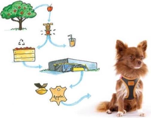 Immagine prodotto Curli Imbracatura in pelle di mela, 2XS, marrone (XXS, Cane, Generale)