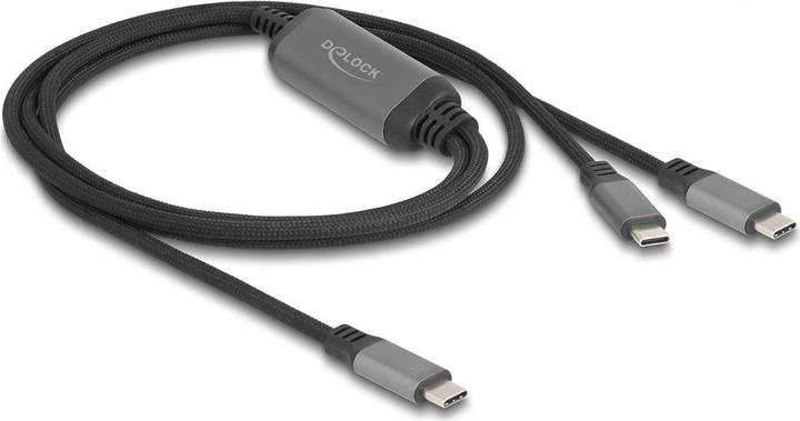 Immagine prodotto Delock 81271 - Cavo USB-C a Y da 1 x spina a 2 x spina PD 3.0 100 W, 1,2 m (1.20 m, USB 3.2)