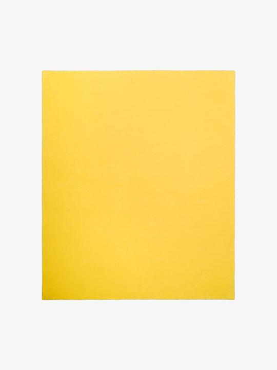 Immagine prodotto Zoeppritz Soft-Fleece (200 x 160 cm)