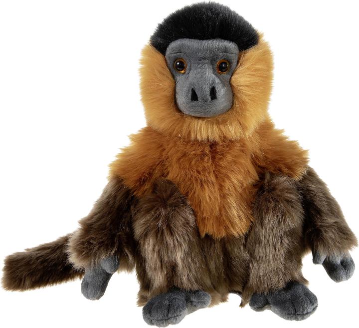 Image du produit Heunec ANIMAUX MENACÉS Singe capucin (24 cm)