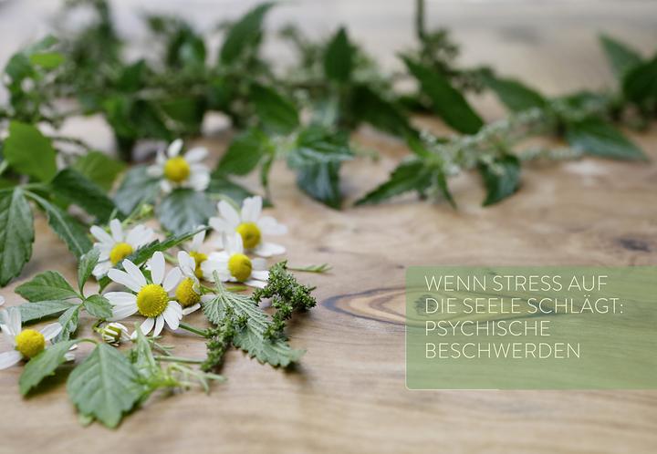 Actual product image Girsch:Mit Naturheilkunde Stress bewält (German, Michaela Girsch, 2024)