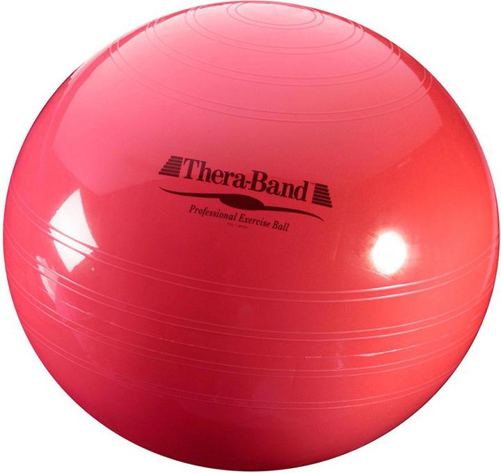 Actual product image TheraBand Gymnastikball (55 cm)