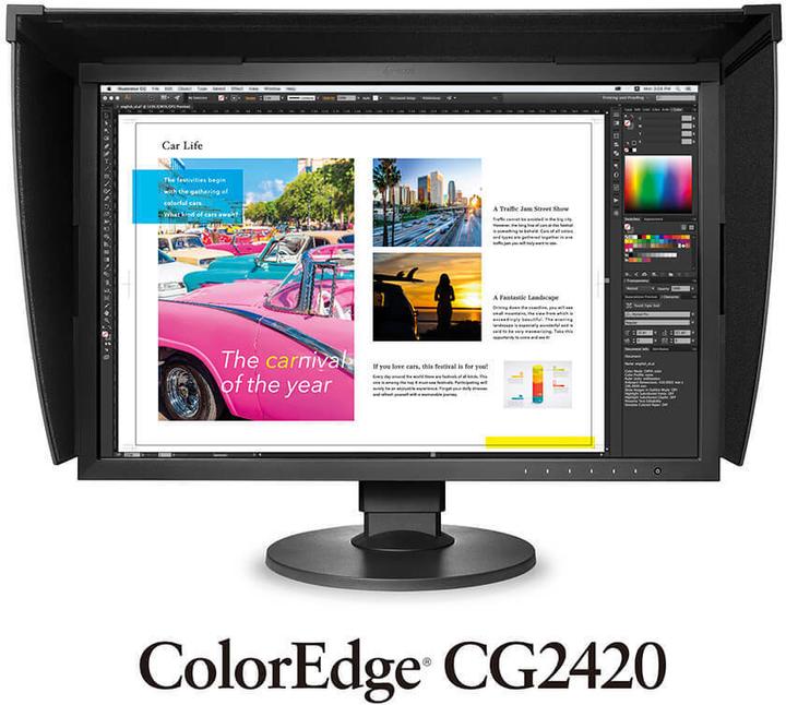Actual product image Eizo Cg2420 (1920 x 1200 pixels, 24")