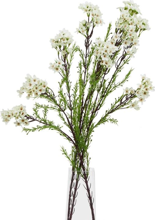Image du produit Hill Interiors The Natural Garden Collection Fleur de cire Artificielle (80 cm)