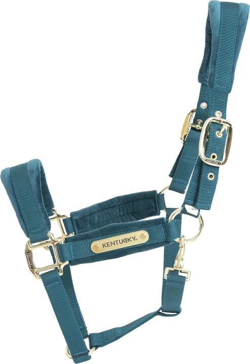 Actual product image Kentucky Horsewear Velvet halter