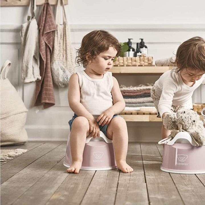 Image du produit BabyBjörn Pot Clever