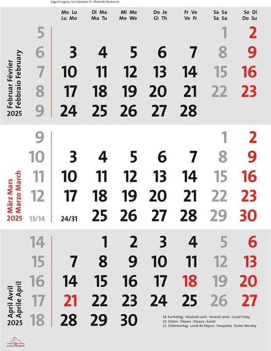 Actual product image Swiss Planner 2025 (23 x 31.5 cm, No binding, German, French, Italian, English)