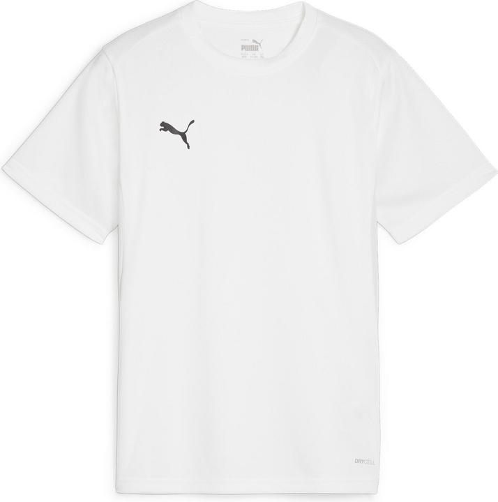Immagine prodotto Puma Maglia TeamGOAL Jr (116)