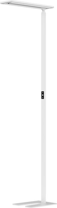 Actual product image Hansa Larimar LED floor light, touch sensor, height 1997 mm, white. (4700 lm)