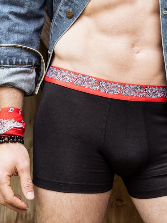 Immagine prodotto ISA Bodywear Schwingerkollektion Pant (S)