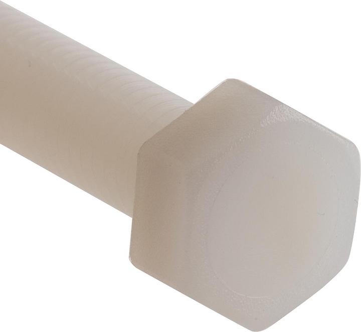 Immagine prodotto Rs Pro Viti in nylon M8x40mm