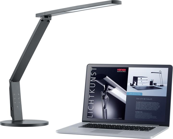 Actual product image Hansa Vario Plus (741 lm)
