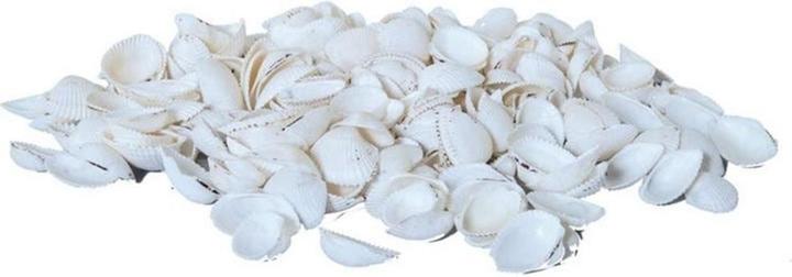Produktbild Dekomat Muscheln, 300 gr Weiss