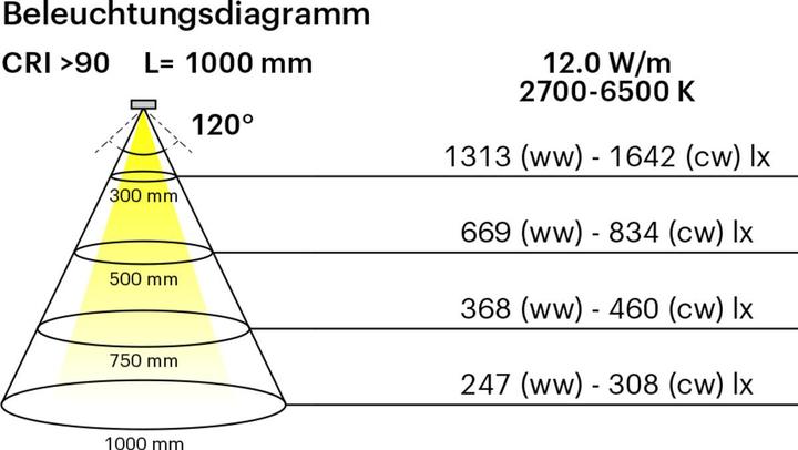 Image du produit L&S Bandes de LED COB 12 / 24 V (Blanc froid, 600 cm, Intérieur)
