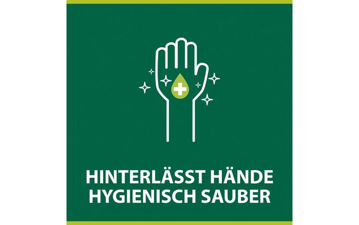 Produktbild Palmolive Hygiene Plus Family (Flüssigseife, 500 ml)