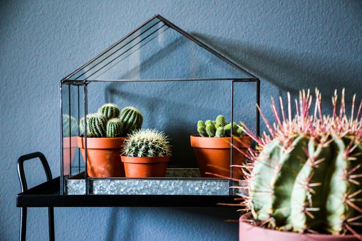 Actual product image zz_ArchivedByPCD_Mutoni Garten Thrive (19 cm)
