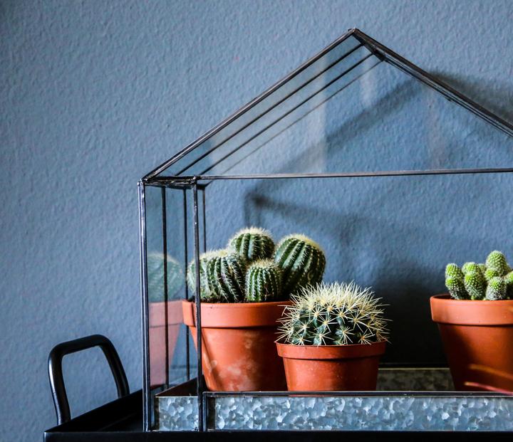 Actual product image zz_ArchivedByPCD_Mutoni Garten Thrive (19 cm)