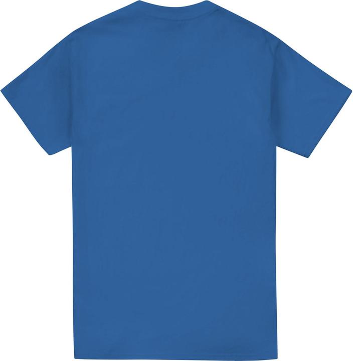 Actual product image Superman Mens Embossed Logo T-Shirt (M)