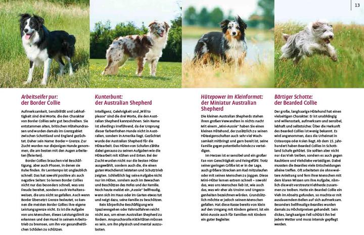 Actual product image Spiele und Action für ausgeglichene Hütehunde (German, Marion Albers, 2023)