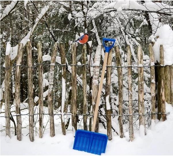 Image du produit Theo Klein Pelle à neige