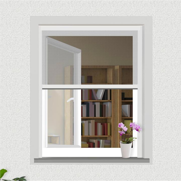 Immagine prodotto Windhager Finestra avvolgibile di protezione dagli insetti (130 x 160 cm)