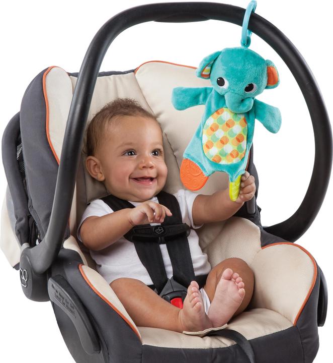 Actual product image Bright Starts Snuggle & Teethe