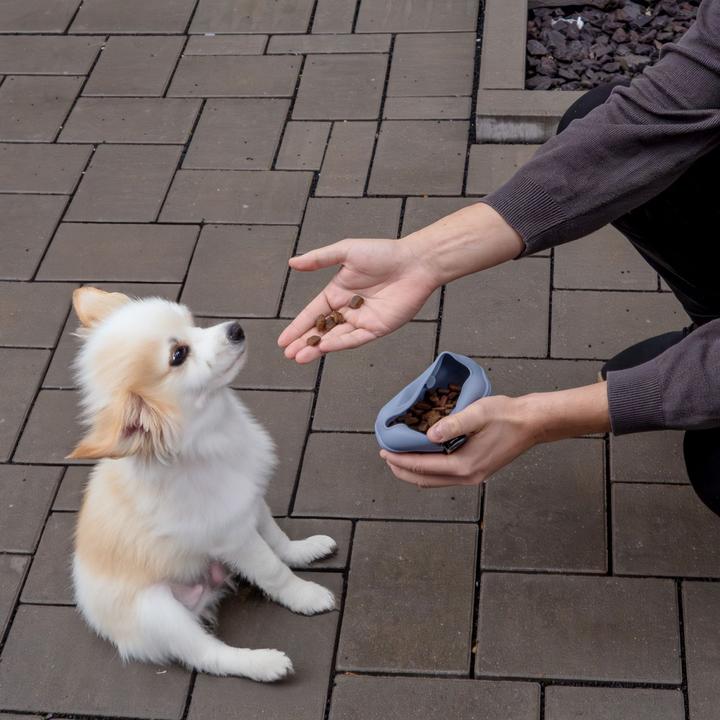 Actual product image Intirilife Treat bag for dogs with belt clip (One size)