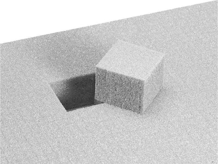 Immagine prodotto Peli Custodia in plastica 1450 (Custodia fotografica, 15 l)