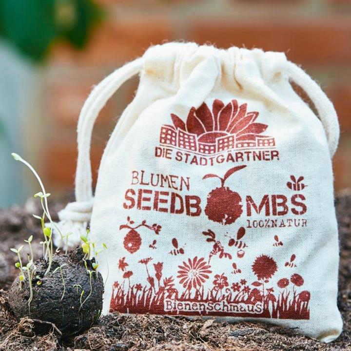 Produktbild Die Stadtgärtner Samenbomben Bienenschmaus (Blumensamen)