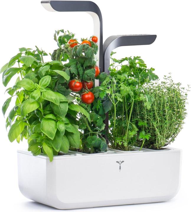Actual product image Véritable Connect Indoor Garden (18 cm)