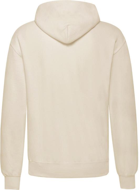 Actual product image Fruit of the Loom Unisex Adults Classic Hooded Sweatshirt (L)