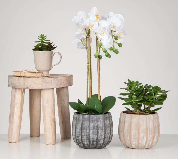 Actual product image Scheurich Runa flower pot 4.2 l, grey (27 cm)